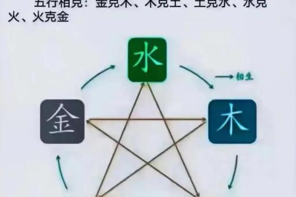 2023年兔五行属什么 2023年兔五行属什么命 2023年兔五行属什么 2023年兔五行属什么命