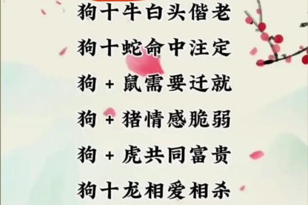 鸡男和狗女的属相能婚配吗_鸡男和狗女的属相能婚配吗 贴吧 鸡男和狗女的属相能婚配吗_鸡男和狗女的属相能婚配吗 贴吧