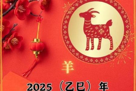 79年女属羊人2025年全年运势_79年属羊46岁有一灾