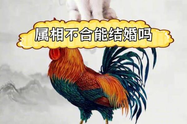 属兔和属羊的婚姻配对天生一对还是挑战重重 属兔和属羊的婚姻配对天生一对还是挑战重重