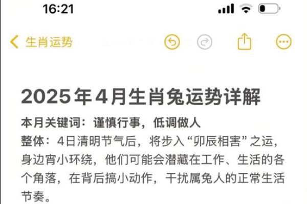 2025生肖兔运势_2025生肖兔运势及运程 2025生肖兔运势_2025生肖兔运势及运程