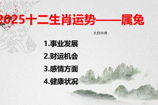 2025生肖兔运势_2025生肖兔运势及运程 2025生肖兔运势_2025生肖兔运势及运程