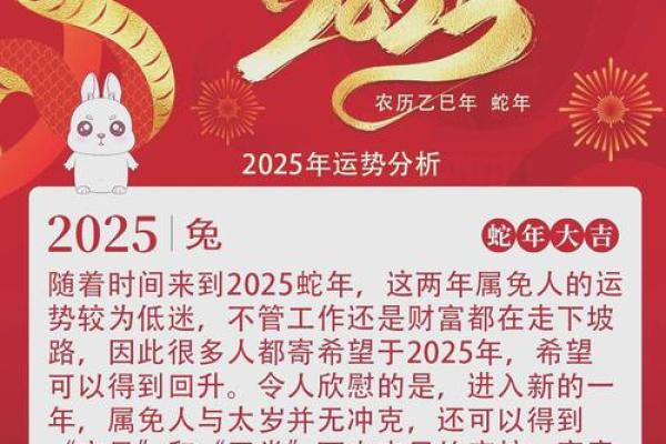 1999年属兔男孩事业运势解析与成功秘诀 1999年属兔男孩事业运势解析与成功秘诀