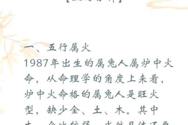 1999年属兔男孩事业运势解析与成功秘诀 1999年属兔男孩事业运势解析与成功秘诀