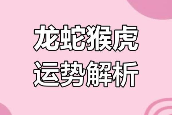 2025属龙人犯太岁吗 2025属龙人犯太岁吗全年运势解析及农历月份禁忌 2025属龙人犯太岁吗 2025属龙人犯太岁吗全年运势解析及农历月份禁忌