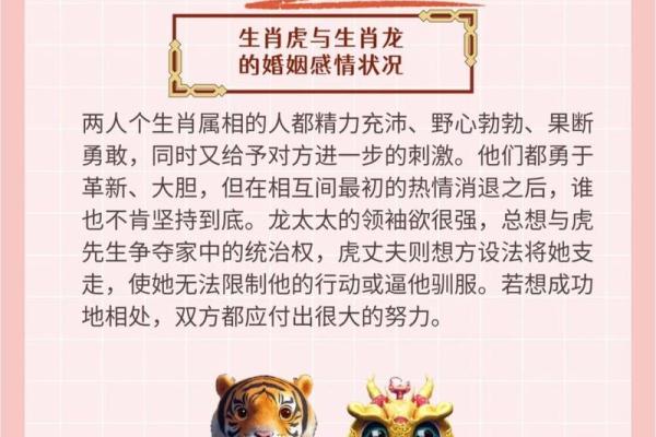 属龙跟属龙的人在一起合适吗_龙男娶了龙女会幸福吗 属龙跟属龙的人在一起合适吗_龙男娶了龙女会幸福吗