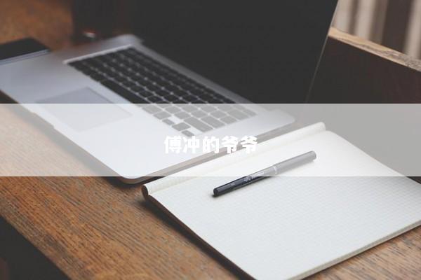 傅冲的爷爷 傅冲的爷爷