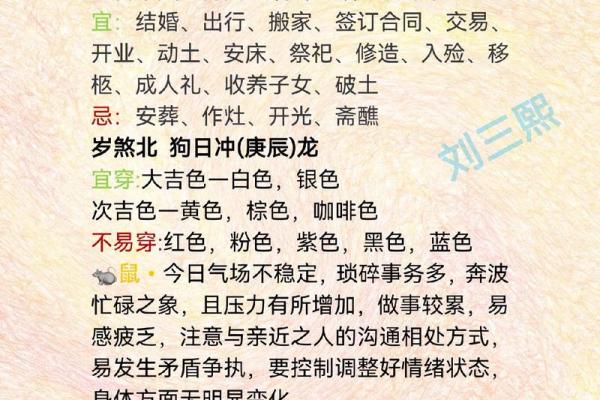 属兔的今年运气怎样2023年 需要注意什么 属兔的今年运气怎样2023年 需要注意什么
