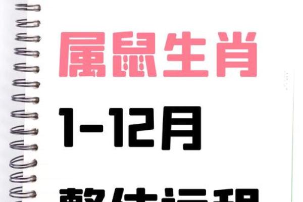 属鼠2025年运势及运程1972年出生 属鼠2025年运势及运程1972年出生