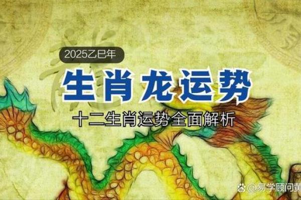 1988年属龙人2025年财运如何_属龙人2025彻底大爆发 1988年属龙人2025年财运如何_属龙人2025彻底大爆发