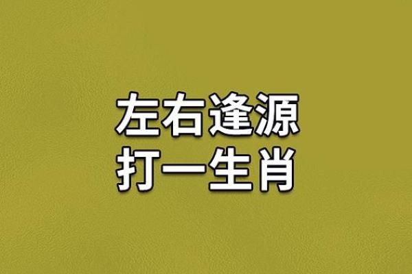 才德兼备打一生肖 才德兼备打一生肖