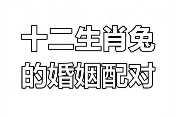属兔本命年有什么讲究和禁忌 有什么要注意的 属兔本命年有什么讲究和禁忌 有什么要注意的