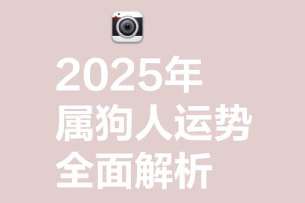 2025年属狗的_2025年属狗运势解析事业财运感情全攻略