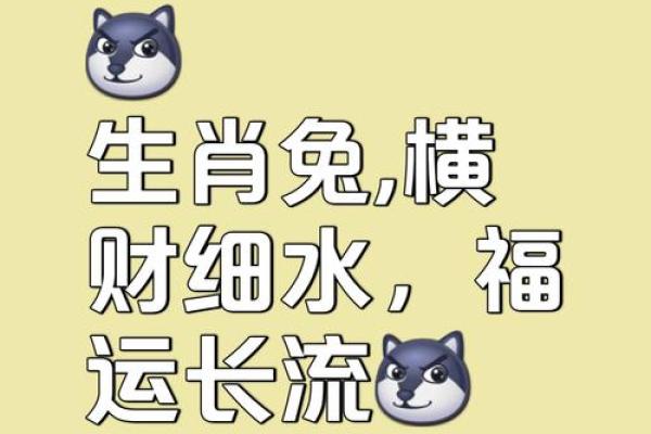 属兔2020年开业黄道吉日有哪些 属兔2020年开业黄道吉日有哪些