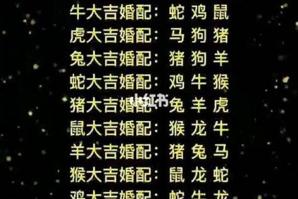 水乳交融是什么生肖 水乳交融是什么生肖