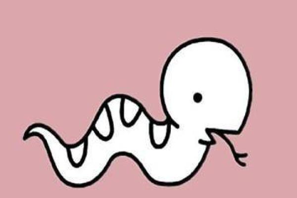 火上烧油是什么生肖 火上烧油是什么生肖