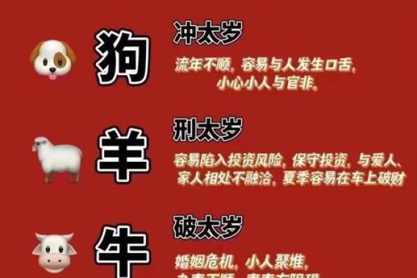 2025年00年属龙的全年运势怎么样_2025年00年属龙全年运势详解12个月运程完整解析 2025年00年属龙的全年运势怎么样_2025年00年属龙全年运势详解12个月运程完整解析
