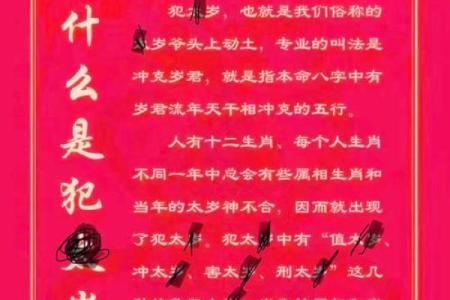 2025年属猪犯什么太岁_2025年属猪人的全年运势详解