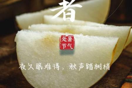 处暑节气吃什么养生