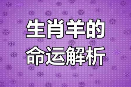 1979年属羊今日财运解析吉凶预测与提升技巧