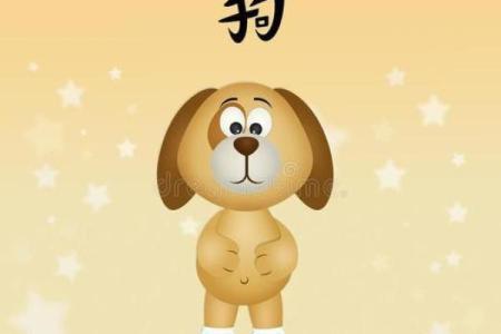 属狗2006年出生女孩命运_2006年属狗女孩命运解析未来运势与人生走向