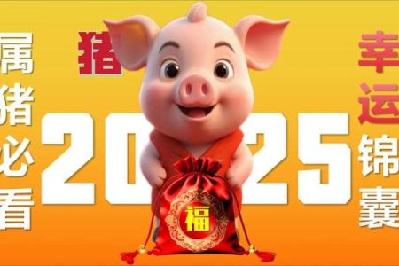 2025年属猪的多大了_2025年生肖猪