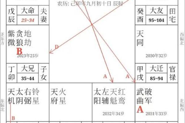 2025年4月11日丑时女命紫微斗数全解盘 2025年4月11日丑时女命紫微斗数全解盘