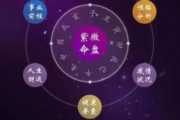 2025年4月14日子时女命紫微斗数全解盘 2025年4月14日子时女命紫微斗数全解盘