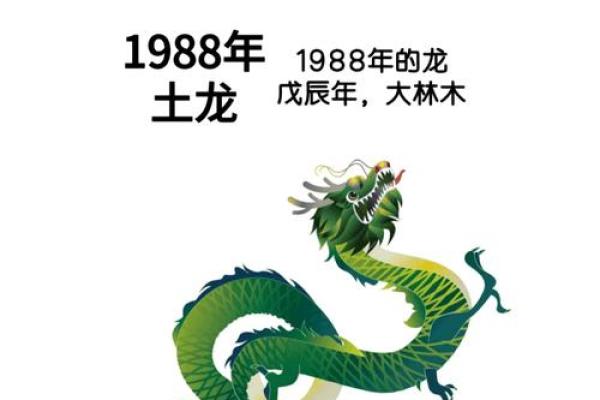 2025年属龙人全年运势详解运程月运完整指南 2025年属龙人全年运势详解运程月运完整指南