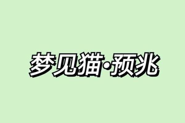 梦见猫咬人是什么预兆 梦见猫咬人是什么预兆