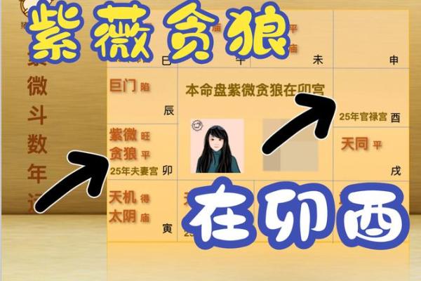 2025年4月26日午时男命紫微斗数全解盘 2025年4月26日午时男命紫微斗数全解盘