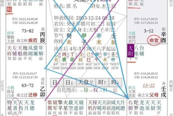 2025年4月18日辰时女命紫微斗数全解盘 2025年4月18日辰时女命紫微斗数全解盘