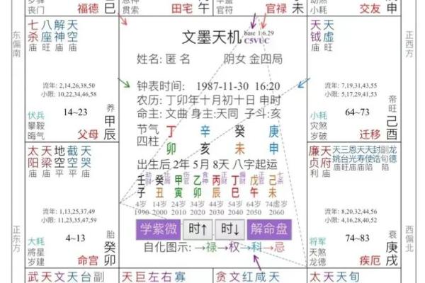 2025年4月24日亥时男命紫微斗数全解盘 2025年4月24日亥时男命紫微斗数全解盘
