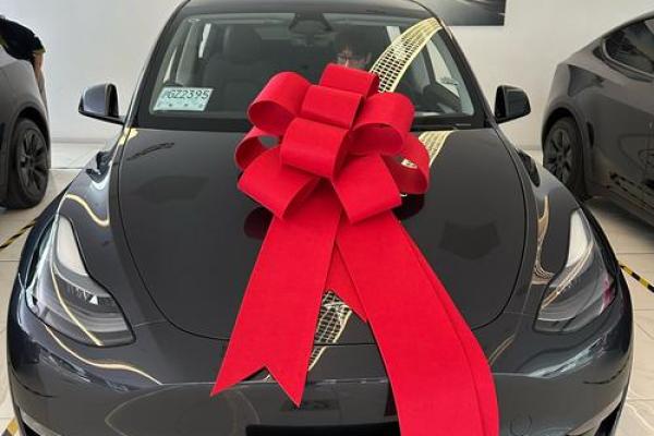 适合提车的日子2021 适合提车的日子2021