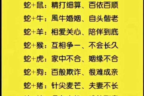 2002年2月9日属马还是蛇_2002年2月9日出生属什么命 2002年2月9日属马还是蛇_2002年2月9日出生属什么命