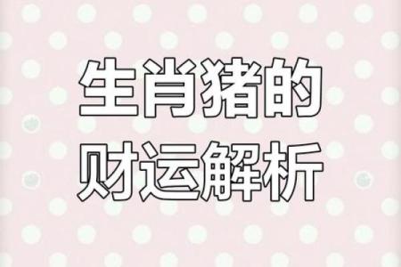 2019年属猪人2025年运势详解财运事业感情全解析