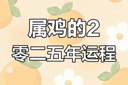 属鸡2025年每月运势及运程详解 2025年属鸡每月运势详解全年运程预测与建议