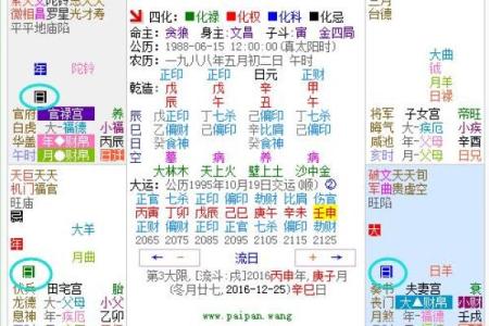 2025年4月6日子时女命紫微斗数全解盘