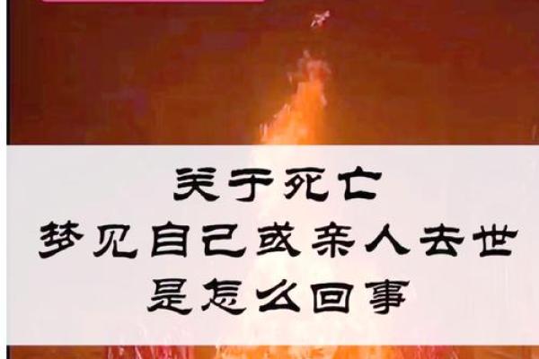 梦见去世的人复活 梦见去世的人复活