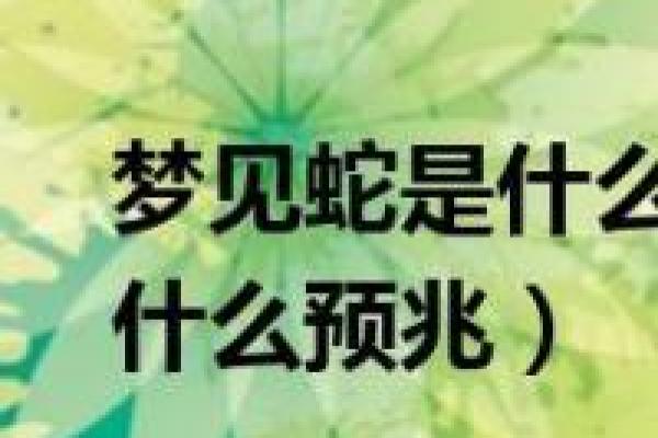 梦见大白蛇是什么预兆 梦见大白蛇是什么预兆