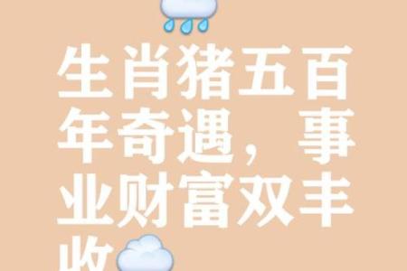 2025属猪1995人的全年运势_2025年属猪人的全年运势