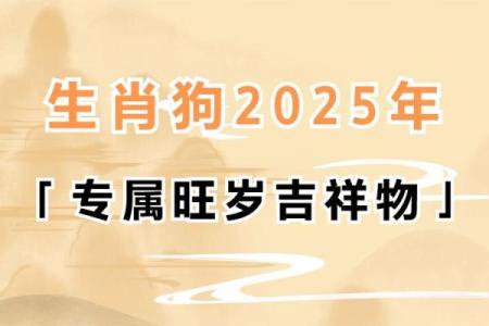 1982年属狗男2025年运势详解事业财运与感情运程预测