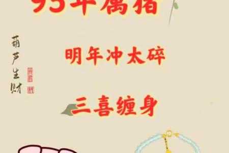 2007年属猪2025年运势 95年属猪人2025年运势