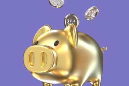 59年属猪人66岁有一灾_59年属猪人的灾难年龄