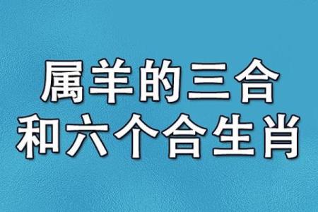 属鼠和属羊婚配好吗揭秘生肖配对最佳组合