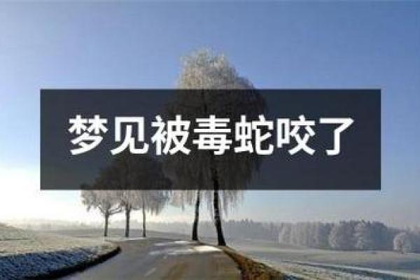 梦见被蛇追着咬是什么意思 周公解梦 梦见被蛇追着咬是什么意思 周公解梦