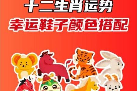 属猪幸运色是什么颜色2025_属猪的幸运色2021年