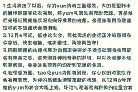 1982年2024年属狗人的全年运势 1982属狗的人在2024年怎么样