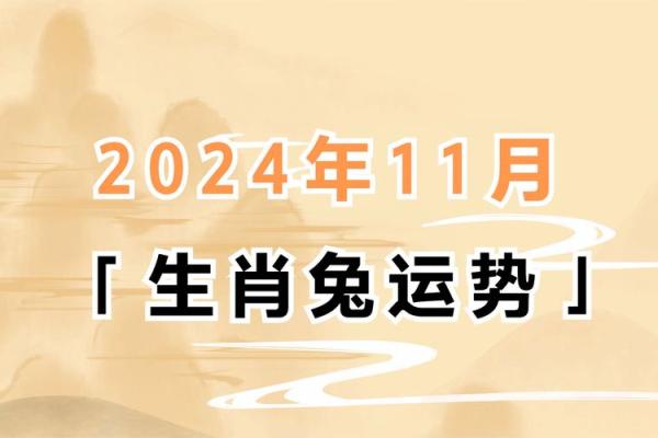 属兔今年开业什么时间好一点 属兔今年开业什么时间好一点