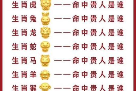 2025年属猪的贵人是谁揭秘最佳助力者